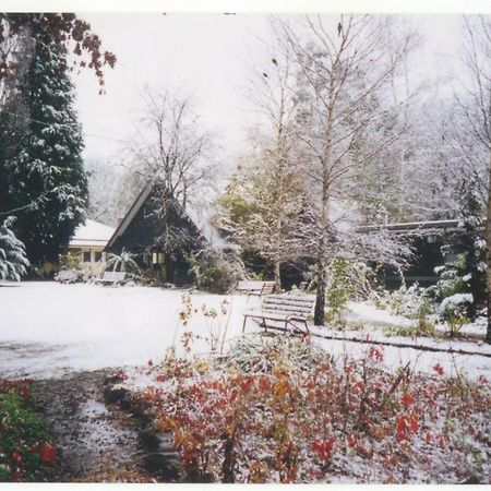 Mountain View Holiday Retreat Harrietville Exterior foto