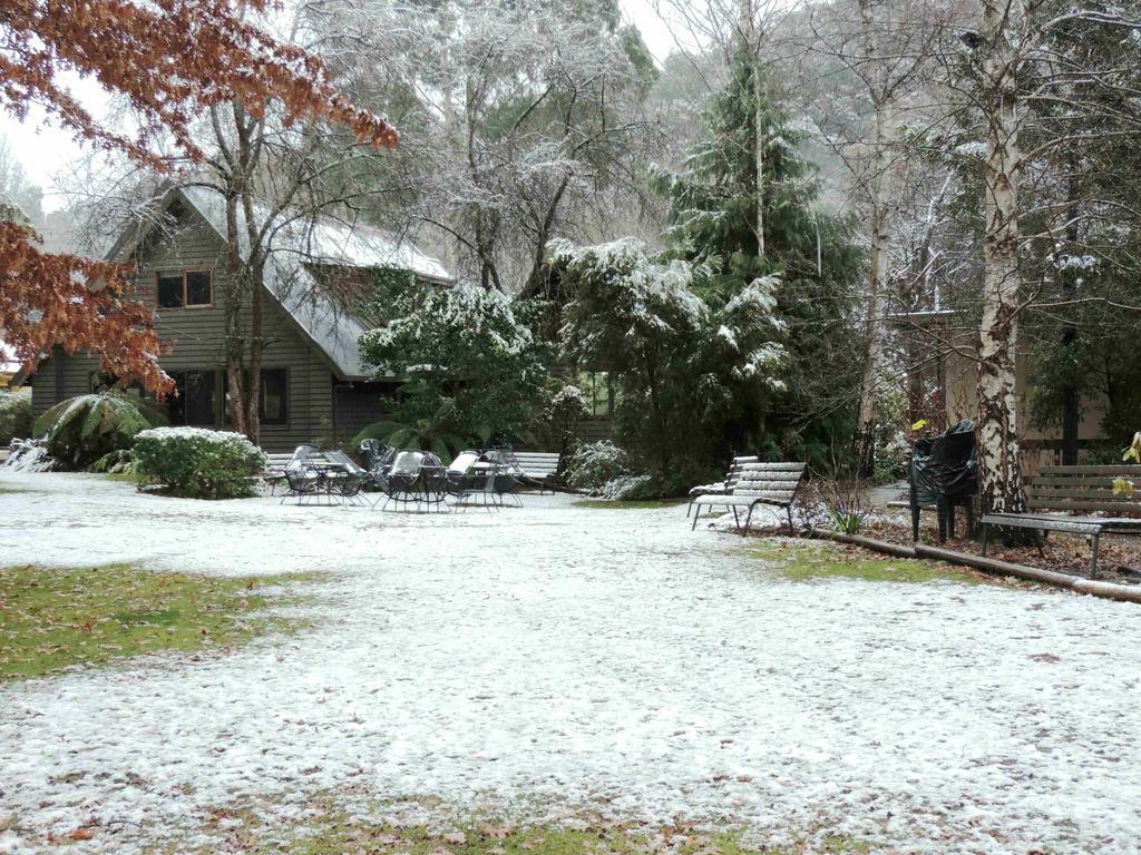 Mountain View Holiday Retreat Harrietville Exterior foto